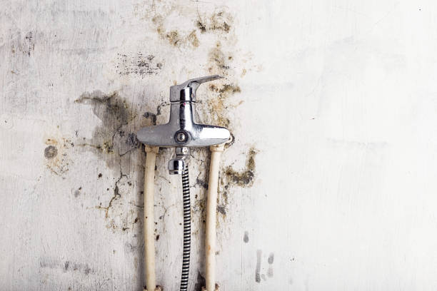 Best Water Damage Restoration  in Elmont, NY