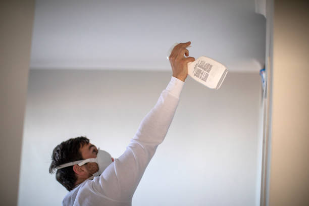 Certified Mold Removal in Elmont, NY