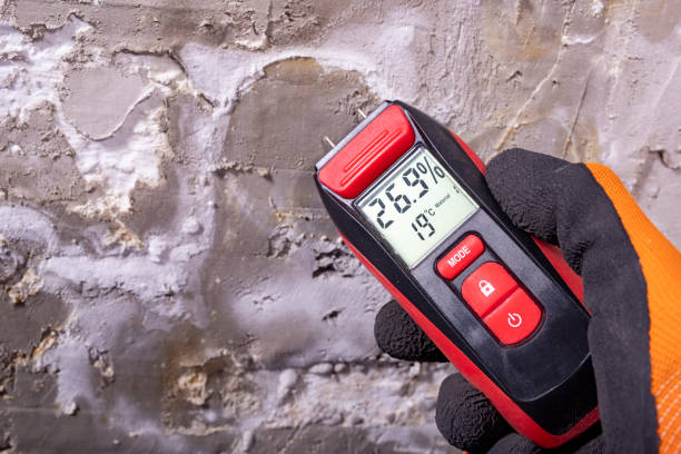 Best Mold Testing  in Elmont, NY
