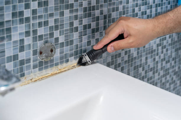 Best Mold Testing and Removal  in Elmont, NY